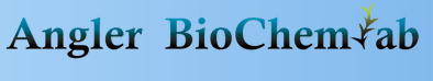 Logo Partner 3